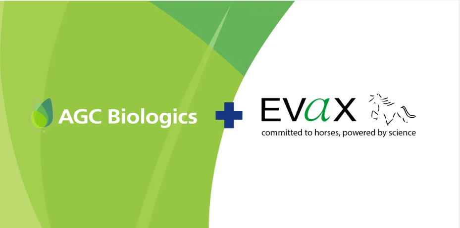 Neue Zusammenarbeit von Evax mit AGC Biologics
